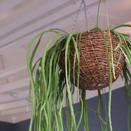 Apartment Madalena Views - Stylish & Luxury @ Baixa Lisbon